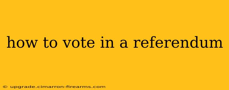 how to vote in a referendum