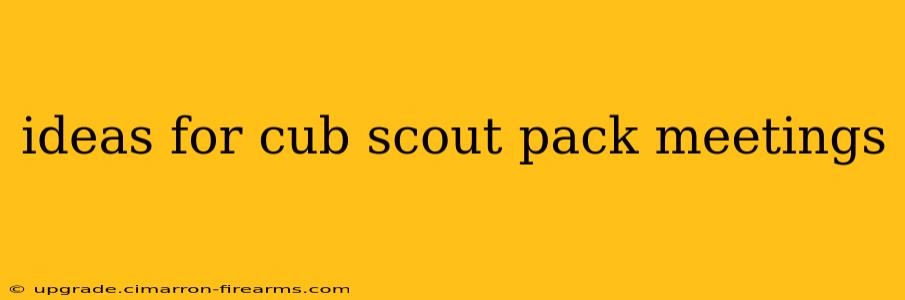 ideas for cub scout pack meetings