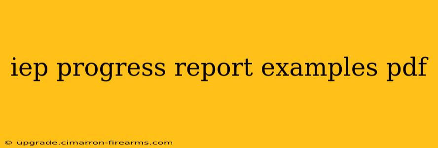 iep progress report examples pdf