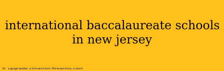 international baccalaureate schools in new jersey