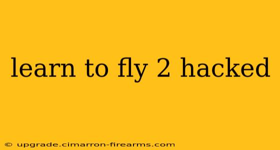 learn to fly 2 hacked