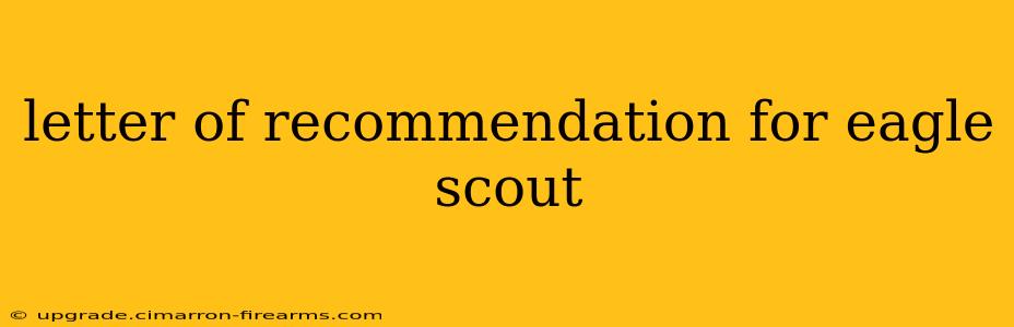 letter of recommendation for eagle scout