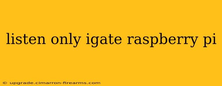 listen only igate raspberry pi