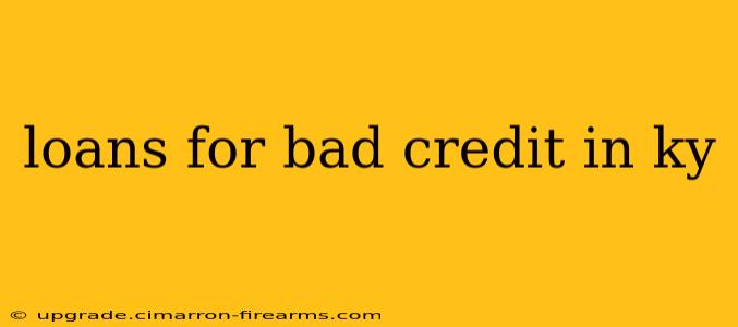 loans for bad credit in ky