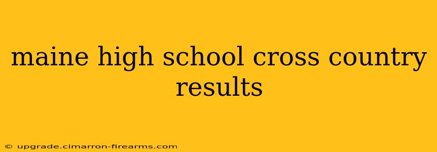 maine high school cross country results