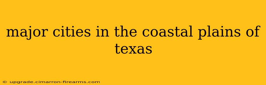 major cities in the coastal plains of texas