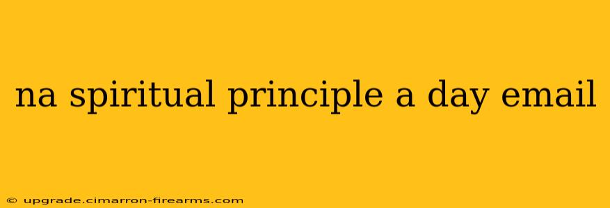 na spiritual principle a day email