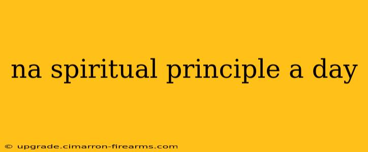 na spiritual principle a day