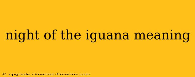 night of the iguana meaning