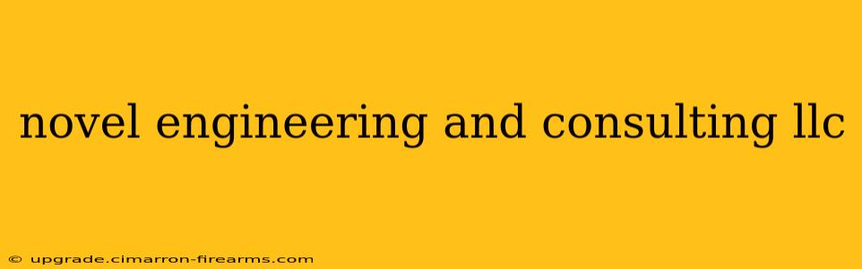 novel engineering and consulting llc