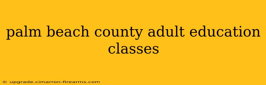 palm beach county adult education classes