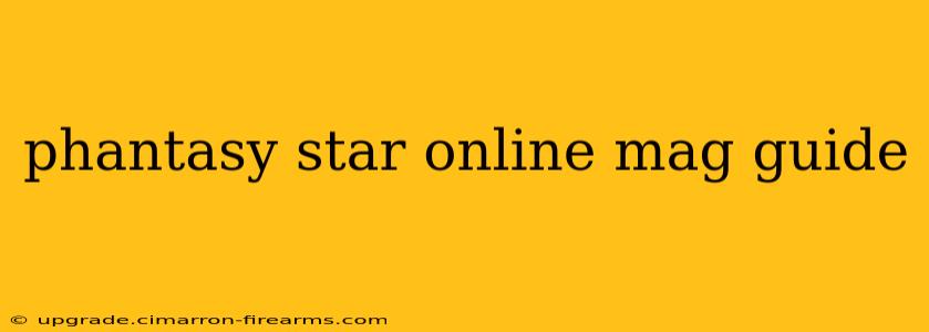 phantasy star online mag guide