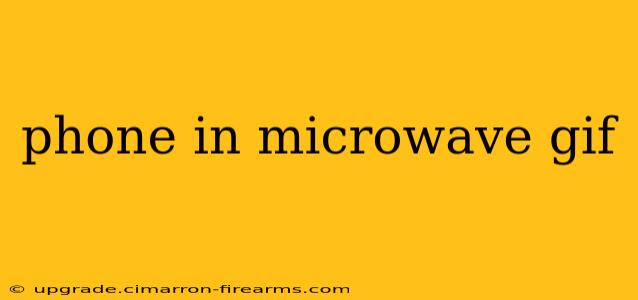 phone in microwave gif