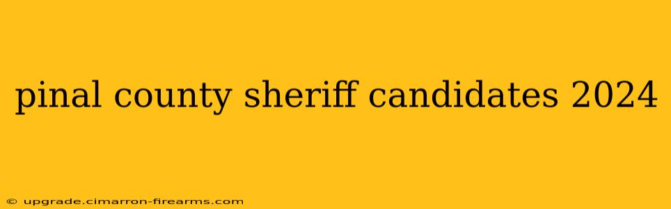 pinal county sheriff candidates 2024