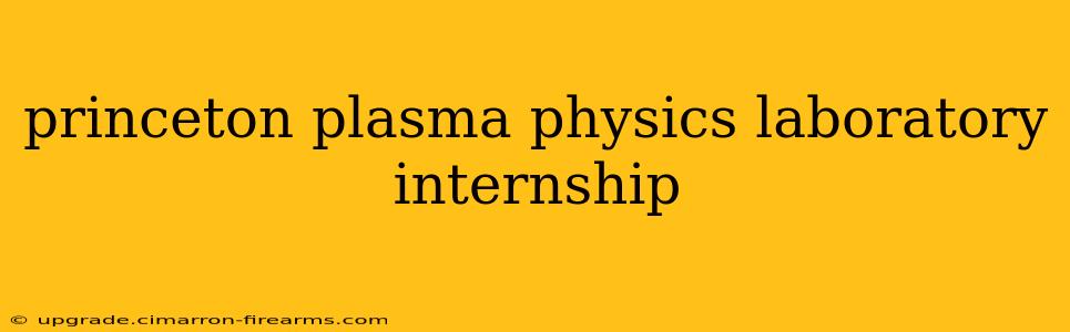 princeton plasma physics laboratory internship