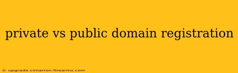 private vs public domain registration