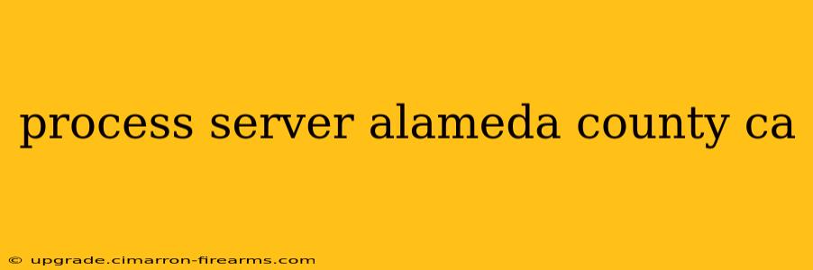 process server alameda county ca