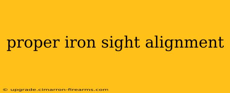 proper iron sight alignment