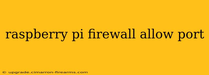 raspberry pi firewall allow port