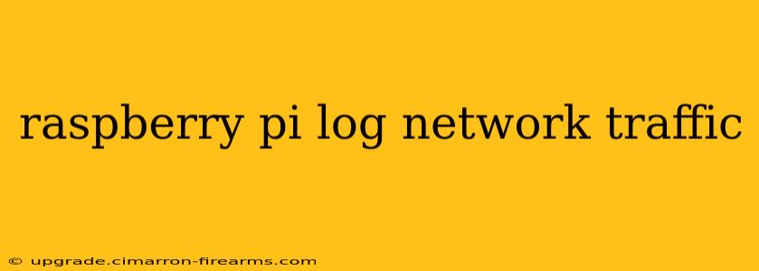 raspberry pi log network traffic