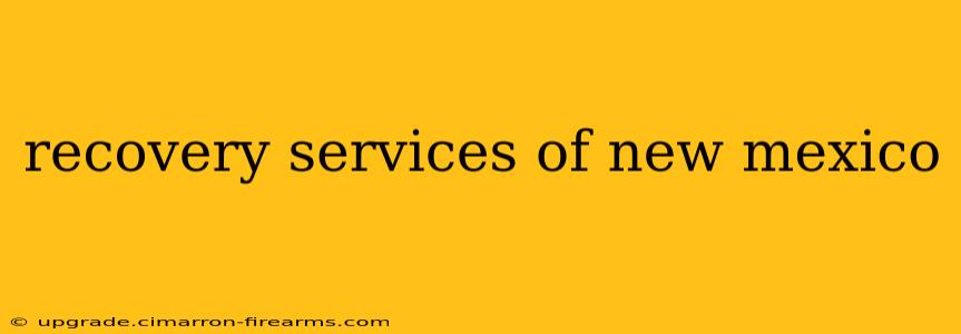 recovery services of new mexico