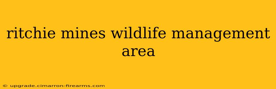 ritchie mines wildlife management area