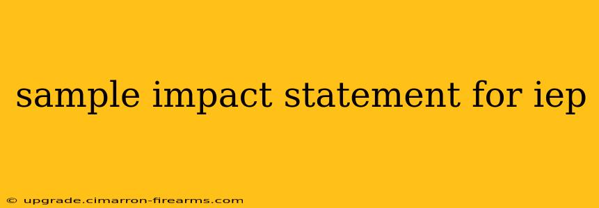 sample impact statement for iep