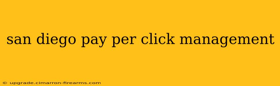 san diego pay per click management