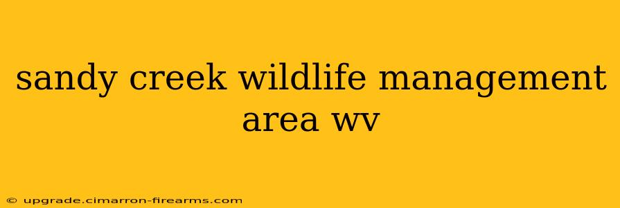 sandy creek wildlife management area wv