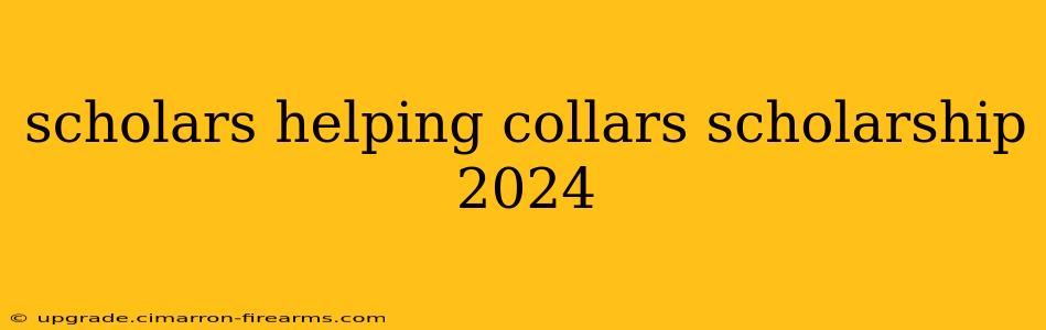 scholars helping collars scholarship 2024