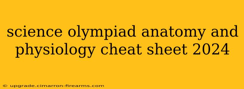 science olympiad anatomy and physiology cheat sheet 2024