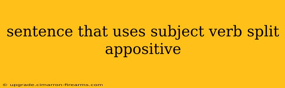 sentence that uses subject verb split appositive