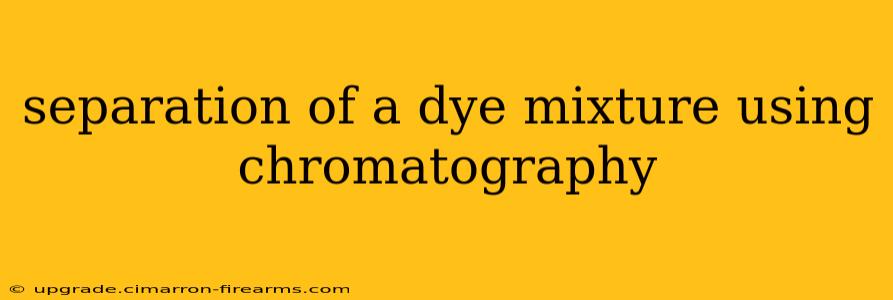 separation of a dye mixture using chromatography