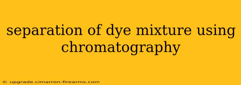 separation of dye mixture using chromatography