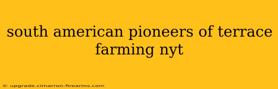 south american pioneers of terrace farming nyt