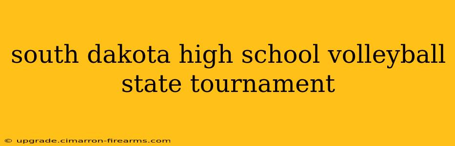 south dakota high school volleyball state tournament