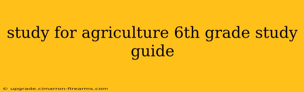 study for agriculture 6th grade study guide