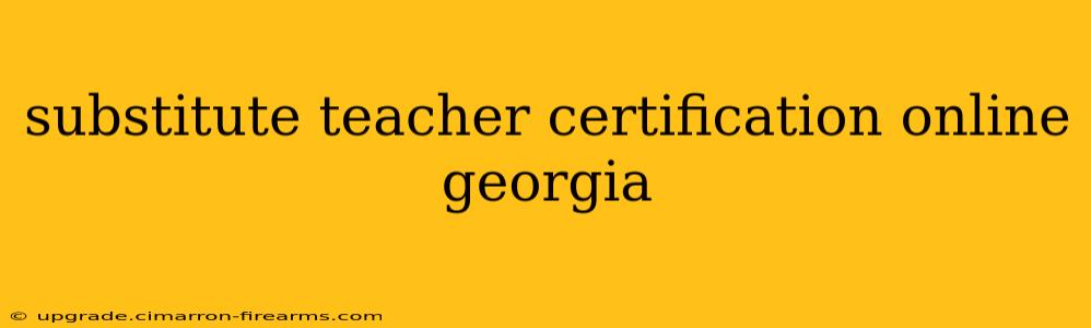 substitute teacher certification online georgia