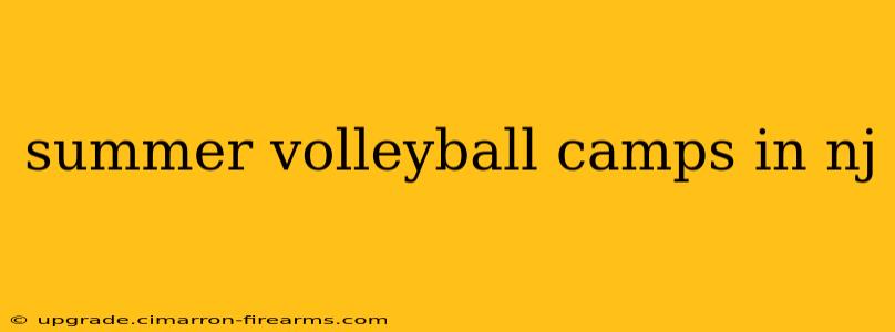 summer volleyball camps in nj