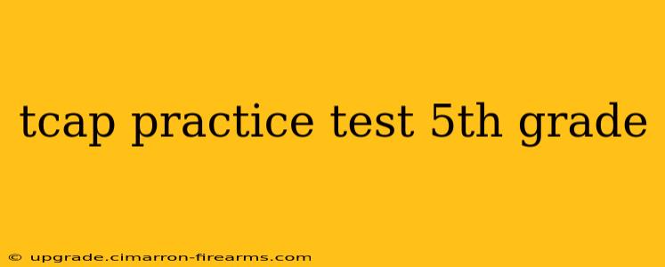 tcap practice test 5th grade