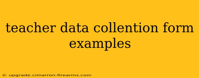 teacher data collention form examples