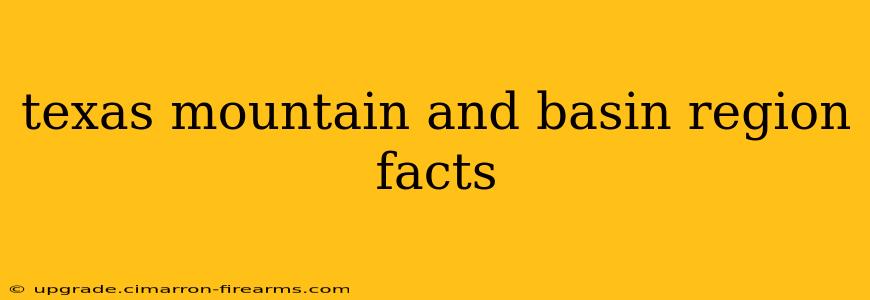 texas mountain and basin region facts