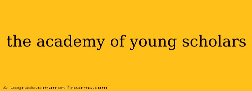 the academy of young scholars