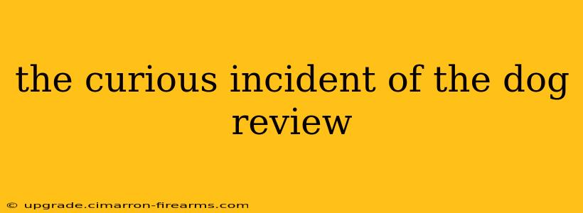 the curious incident of the dog review