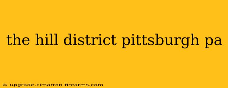 the hill district pittsburgh pa