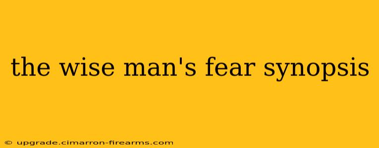 the wise man's fear synopsis