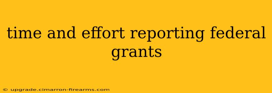 time and effort reporting federal grants