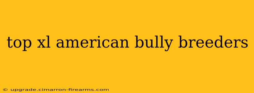 top xl american bully breeders