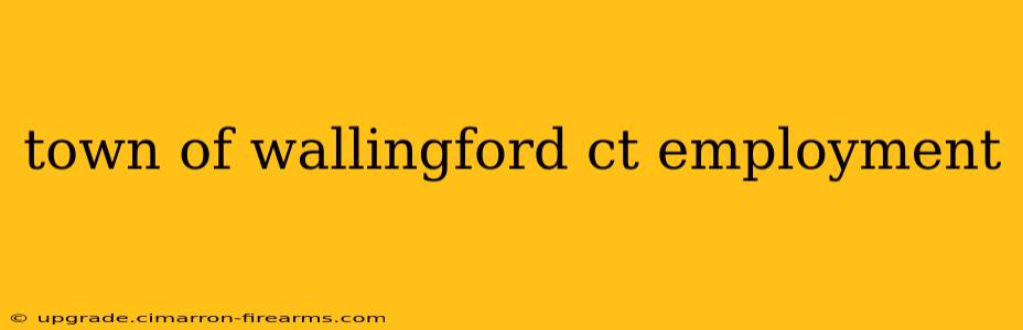 town of wallingford ct employment