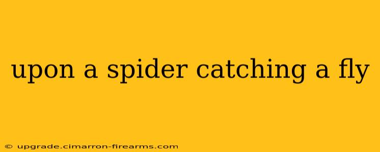 upon a spider catching a fly